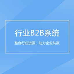 重慶企業(yè)軟件開(kāi)發(fā) 驅(qū)動(dòng)B2B行業(yè)系統(tǒng)轉(zhuǎn)型升級(jí)